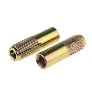 China Building Fastener High Quality Steel and Stainless Steel Drop in Anchors