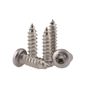 304 Stainless Steel 18-8 Full Thread Pan Head Torx Drive Self Tapping Screws