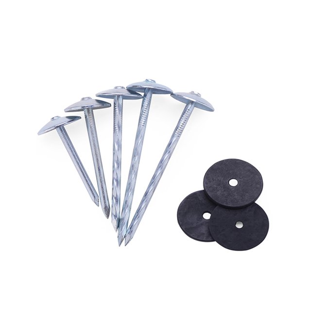 China Good Quality Eletro Galvanized Plastic Cap Ring Shank Roofing Nails with Big Head