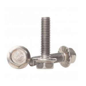 GB5787 SS Stainless Steel Hex Head Flange Bolt DIN 6921 