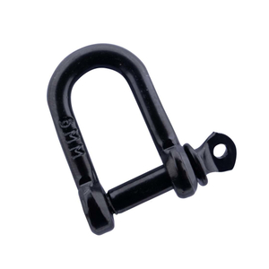 G2160 Safety Lifting Screw Pin Anchor Shackle Bow Shackle Customization European Type Large D Shackle Stainless Steel Metric