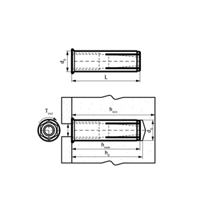 Fastener M6-M24 Galvanized Carbon Steel Anchor Bolt Knurled Drop in Anchor
