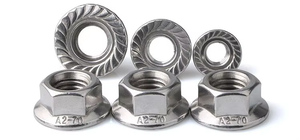 China fasteners manufacturers M3 M4 M6 carbon steel DIN6923 Hex Flange Nut Flange Nuts