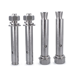 Hex Nut Sleeve Anchor With Two Washers Zinc Plated Carbon Steel Stainless Steel M6 M8 M10 M12 M16